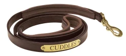 PERRIS LEATHER Perri’s® Padded Leather Nameplate Dog Leash- Collars & Leashes