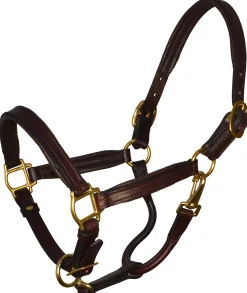 PERRIS LEATHER Perri’s® Padded Leather Pony Halter- Halters