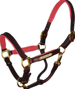 PERRIS LEATHER Perri’s® Padded Leather Pony Halter with Nameplate- Halters