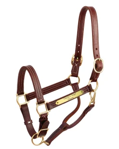 PERRIS LEATHER Perri’s® Premium 1" Leather Show Halter with Nameplate- Halters