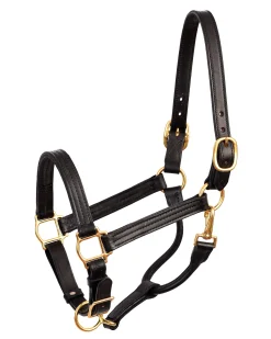 PERRIS LEATHER Perri’s® Premium Leather XL Show Halter- Halters