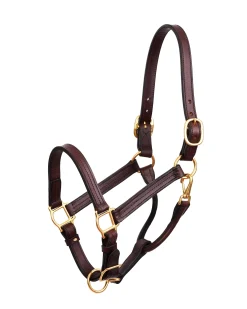 PERRIS LEATHER Perri’s® Premium Leather XL Show Halter- Halters