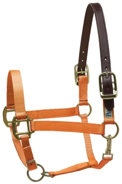 PERRIS LEATHER Perri’s® Premium Nylon Breakaway Halter- Halters