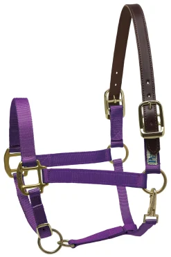 PERRIS LEATHER Perri’s® Premium Nylon Breakaway Halter- Halters