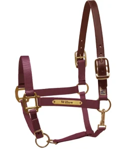 PERRIS LEATHER Perri’s® Premium Nylon Safety Halter with Nameplate- Halters