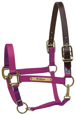 PERRIS LEATHER Perri’s® Premium Nylon Safety Halter with Nameplate- Halters