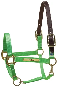 PERRIS LEATHER Perri’s® Premium Nylon Safety Halter with Nameplate- Halters
