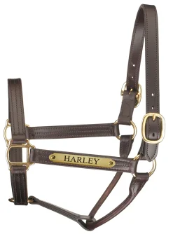 PERRIS LEATHER Perri’s® Premium Track Style Leather Show Halter with Nameplate- Halters