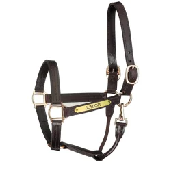 PERRIS LEATHER Perri’s® Premium Track Style Leather Show Halter with Snap & Nameplate- Halters