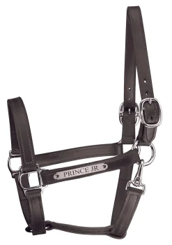 PERRIS LEATHER Perri’s® Track Style Leather Turnout Halter with Snap Throat and Nameplate- Halters