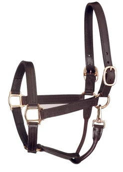 PERRIS LEATHER Perri’s® Track Style Show Halter with Snap Throat- Halters