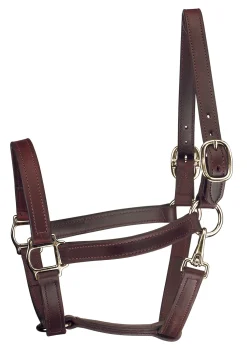 PERRIS LEATHER Perri’s® Track Style Turnout Halter with Snap- Halters