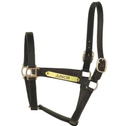 PERRIS LEATHER Perri’s® Track Style Turnout Halter with Snap- Halters