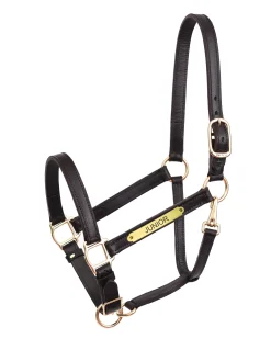 PERRIS LEATHER Perri’s® Yearling Leather Turnout Halter- Halters
