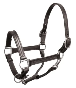PERRIS LEATHER Perri’s® Premium Leather Show Halter- Halters