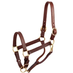 PERRIS LEATHER Perri’s® Premium Leather Show Halter- Halters