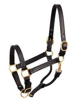PERRIS LEATHER Perri’s® Premium Leather Show Halter- Halters