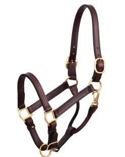 PERRIS LEATHER Perri’s® Premium Leather Show Halter- Halters