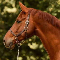 PERRIS LEATHER Perri’s® Twisted Leather Halter- Halters