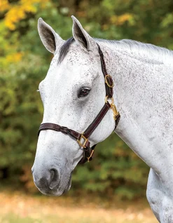 PERRIS LEATHER Perri’s® Twisted Leather Halter- Halters
