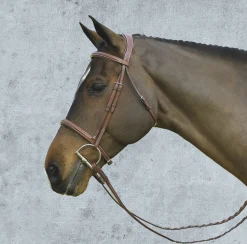 ERS Pessoa® Pro Fancy-Stitched Raised Bridle- English Bridles