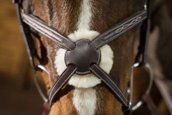 ERS Pessoa® Pro Fancy-Stitched Figure-8 Bridle- English Bridles
