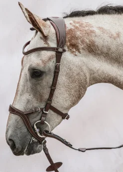 PS OF SWEDEN Nirak™ Bridle- English Bridles