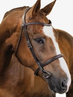 PS OF SWEDEN Ocala Hunter Bridle- English Bridles