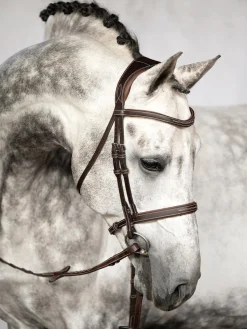 PS OF SWEDEN Ocala Hunter Bridle- English Bridles