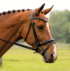 KL SELECT Red Barn Stride Dressage Bridle- English Bridles