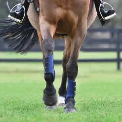 TEXT HORSE Rider’s International™ All-Purpose Galloping Boots- Horse Boots