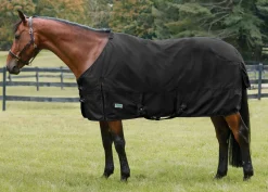 S.K. EXPORTS Rider’s International™ Pony Turnout Sheet- Turnout Sheets