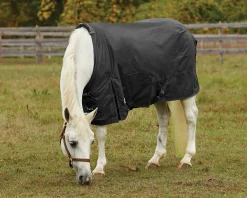 S.K. EXPORTS Rider’s International™ Pony Turnout Sheet- Turnout Sheets