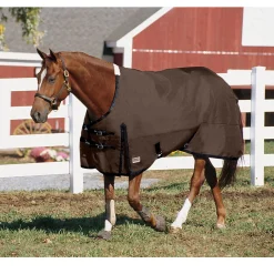 CWEAR BRANCH Rider’s International™ Supreme Heavyweight Turnout Blanket- Turnout Blankets
