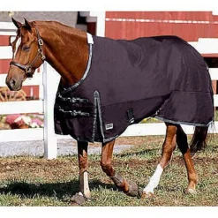 CWEAR BRANCH Rider’s International™ Supreme Heavyweight Turnout Blanket- Turnout Blankets