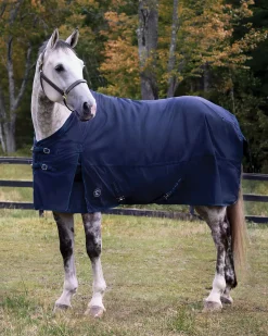 CWEAR BRANCH Rider’s International™ Supreme 100 Gram Turnout Blanket- Turnout Blankets