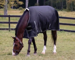 CWEAR BRANCH Rider’s International™ Supreme 100 Gram Turnout Blanket- Turnout Blankets