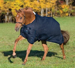 CWEAR BRANCH Rider’s International™ Supreme Medium-Weight Turnout Blanket- Turnout Blankets