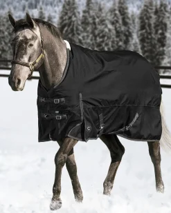 CWEAR BRANCH Rider’s International™ Supreme Medium-Weight Turnout Blanket- Turnout Blankets
