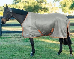 INTEX EQUESTRIAN Rider’s International™ Fly Sheet- Fly Control|Fly Sheets