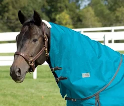 CWEAR BRANCH Rider’s International™ Supreme Neck Cover- Turnout Sheets