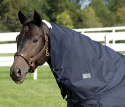CWEAR BRANCH Rider’s International™ Supreme Neck Cover- Turnout Sheets