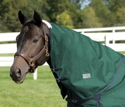 CWEAR BRANCH Rider’s International™ Supreme Neck Cover- Turnout Sheets