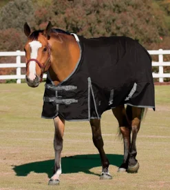 CWEAR BRANCH Rider’s International™ Supreme Turnout Sheet- Turnout Sheets