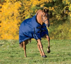 CWEAR BRANCH Rider’s International™ Supreme Turnout Sheet- Turnout Sheets