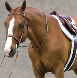 ERS Rodrigo Raised Fancy Stitched Martingale- Martingales & Breastplates