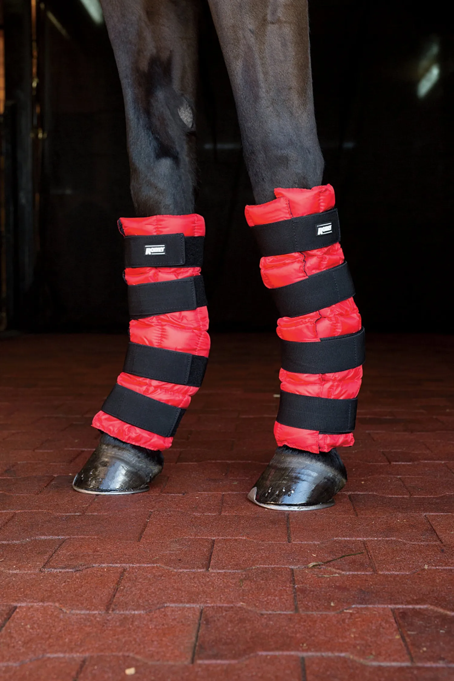 WEATHERBEETA Roma® Ice Boot- Therapy|Hoof & Hock Boots