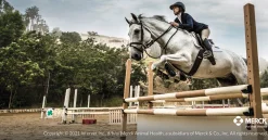 ANIMAL HEALTH INT Safe-Guard® Dewormer- Horse Dewormers