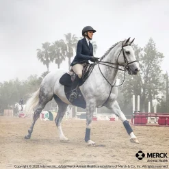 ANIMAL HEALTH INT Safe-Guard® Dewormer- Horse Dewormers