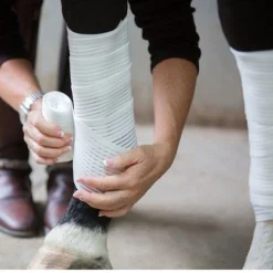 SARATOGA HORSEWORKS Saratoga Bandages (2-Pack)- Horse Leg Wraps